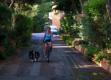 Het fietsen werd ook tijdens de vakantie niet vergeten