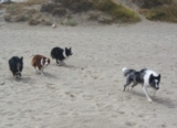 Hier had iemand gesmokkeld aan de start...