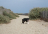 Achter het strand kon je ook fijn wandelen