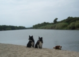 De rivier La Tete
