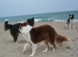 Samen spelen